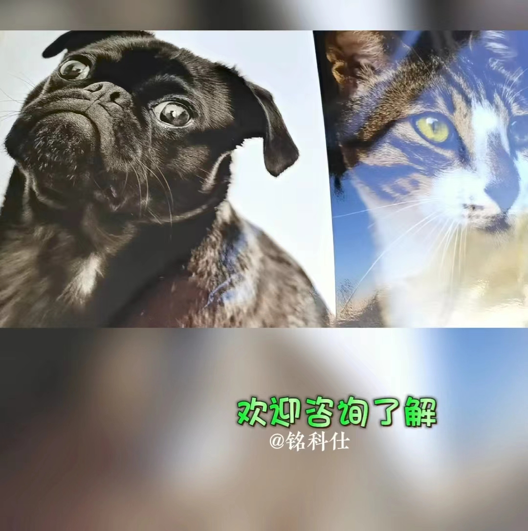 小型uv平板打印機(jī)，有圖就能打印，無需制板支持小批量個(gè)性定制
